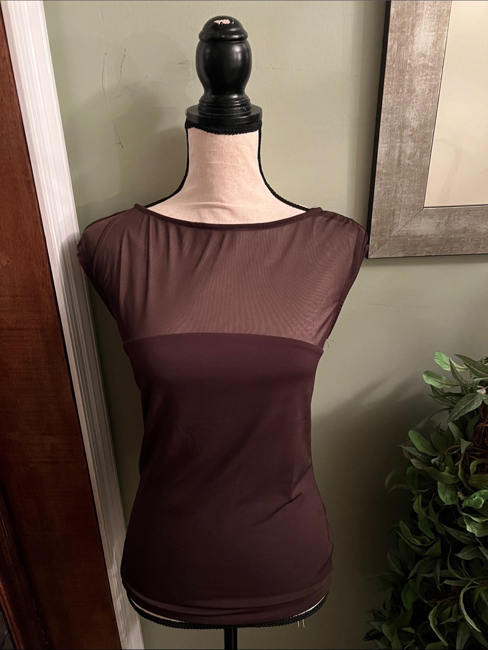 Sleek Cap-Sleeve Top with Sheer Yoke in Deep Plum
